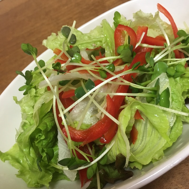 カイワレ パプリカサラダ レシピ 作り方 By Mayu 12 楽天レシピ カイワレ パプリカサラダ レシピ 作り方 By Mayu 12 楽天レシピ